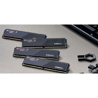 Оперативная память G.Skill Ripjaws S5 2x16ГБ DDR5 6800МГц F5-6800J3445G16GX2-RS5K - Превью изображения №5 — Интернет-магазин Nexton