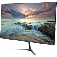 Монитор H H24Z75 - Превью изображения №10 — Интернет-магазин Nexton