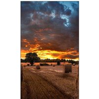 Информационная панель Samsung VM55T-U - Превью изображения №6 — Интернет-магазин Nexton