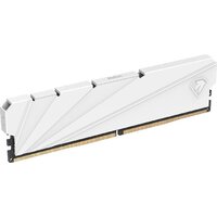 Оперативная память Netac Shadow S 16ГБ DDR4 2666 МГц NTSDD4P26SP-16W - Превью изображения №2 — Интернет-магазин Nexton