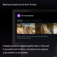 Колонка с умным дисплеем Яндекс Станция Дуо Макс (черный) - Превью изображения №5 — Интернет-магазин Nexton