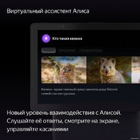 Колонка с умным дисплеем Яндекс Станция Дуо Макс (зеленый) - Превью изображения №5 — Интернет-магазин Nexton